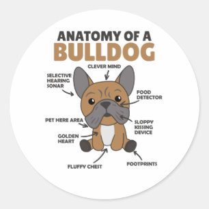 Anatomie van een bulledog Honden grappige papaver Ronde Sticker
