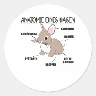Anatomie van een bunny Funny Knob uitleg Ronde Sticker