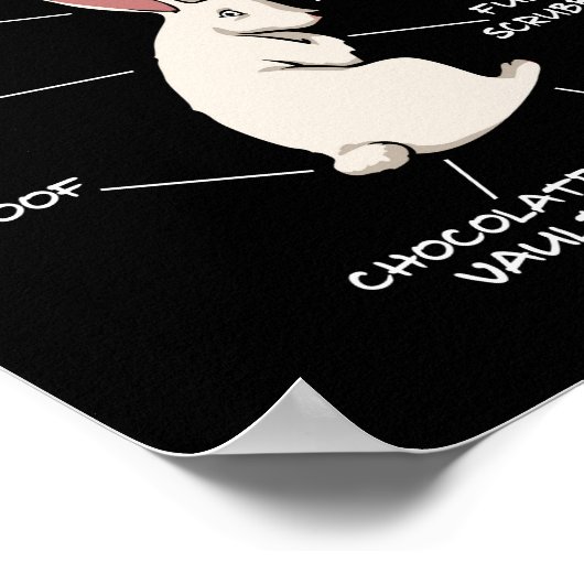 Anatomie van een Bunny Funny Rabbit Definition Poster (Hoek)