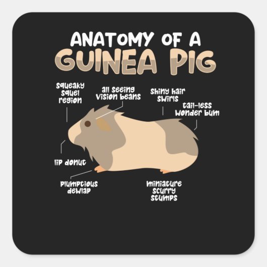 Anatomie van een cavia vierkante sticker (Voorkant)