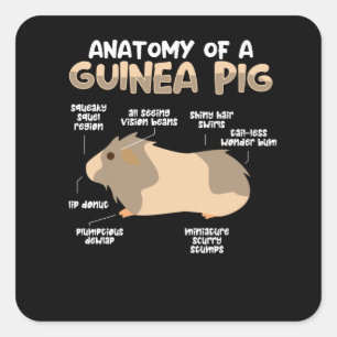 Anatomie van een cavia vierkante sticker