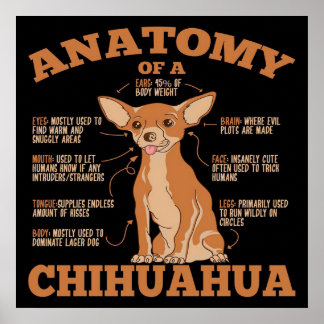 Anatomie van een Chihuahua Canvas Poster