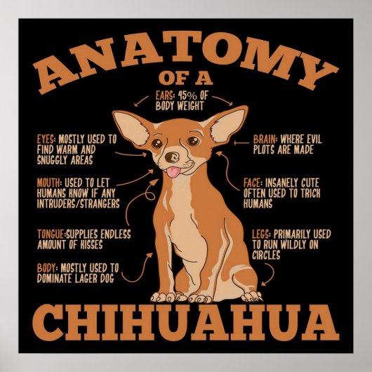 Anatomie van een Chihuahua Canvas Poster (Voorkant)