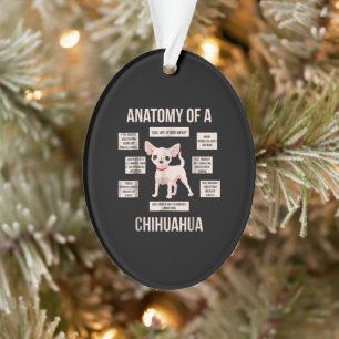 Anatomie van een Chihuahua Funny Puppy Gift Ornament