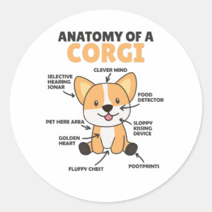 Anatomie van een Corgi Cute Dogs Funny Puppy Ronde Sticker