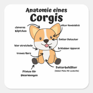 Anatomie van een Corgi Cute Dogs Funny Puppy Vierkante Sticker