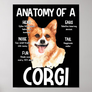 Anatomie van een Corgi voor Hondenliefhebbers Poster