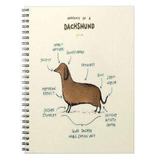 Anatomie van een dachshund | Dachshund-Hondenliefh Notitieboek