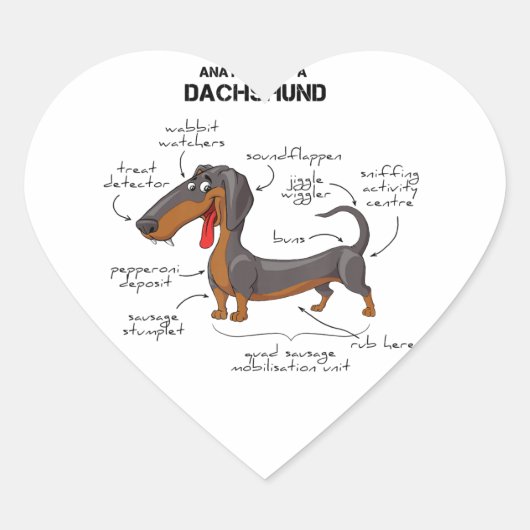 Anatomie van een dachshund - Funny Dog Hart Sticker (Voorkant)
