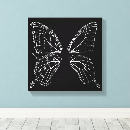 Anatomie van een diagram van een vlindervleugel canvas afdruk (Insitu (Houten vloer))