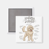 Anatomie van een Doodle Dog Magneet (Voorkant / Achterkant)