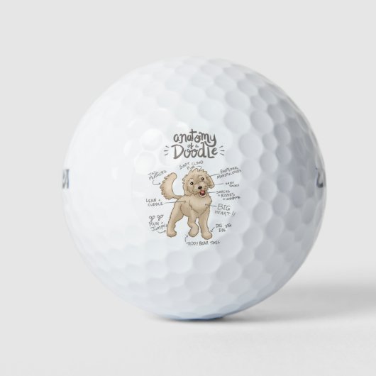 Anatomie van een Doodle Golfballen (Voorkant)