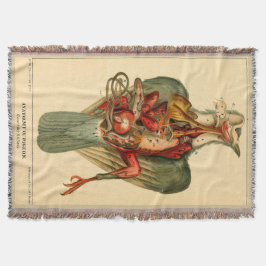 Anatomie van een duif deken