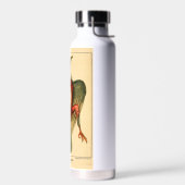 Anatomie van een duif waterfles (Links)