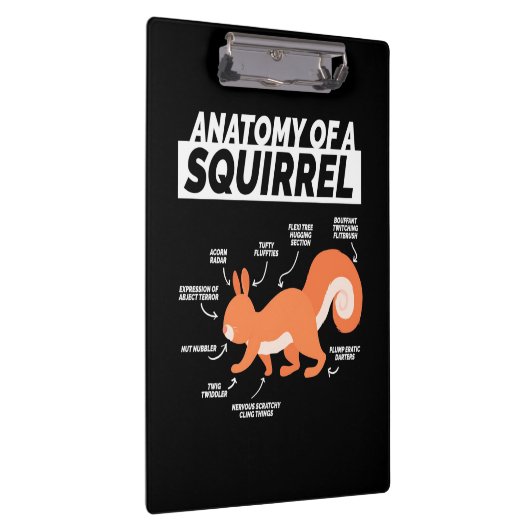 Anatomie van een eekhoorn klembord (Rechts)