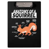 Anatomie van een eekhoorn klembord (Voorkant)