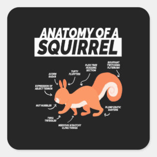 Anatomie van een eekhoorn vierkante sticker