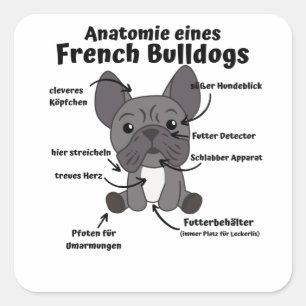 Anatomie van een Franse bulledog Dogs Funny Puppy Vierkante Sticker