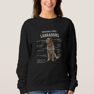 Anatomie van een Funny Labrador Retriever Dog Trui