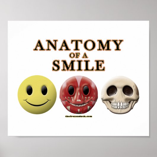 Anatomie van een glimlach poster (Voorkant)