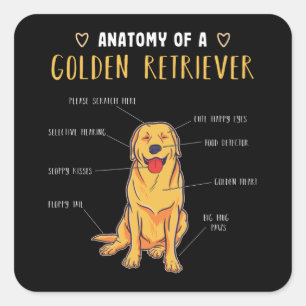 Anatomie van een Golden Retriever Funny Gift Vierkante Sticker