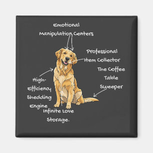 Anatomie van een Golden Retriever - Grappige Hond Magneet