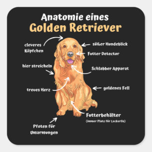 Anatomie van een Golden Retriever met zoete honden Vierkante Sticker