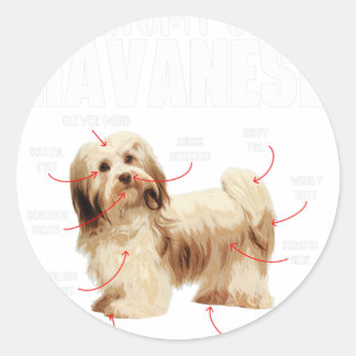 Anatomie van een Havanees - Cubaanse Havaneser Hav Ronde Sticker