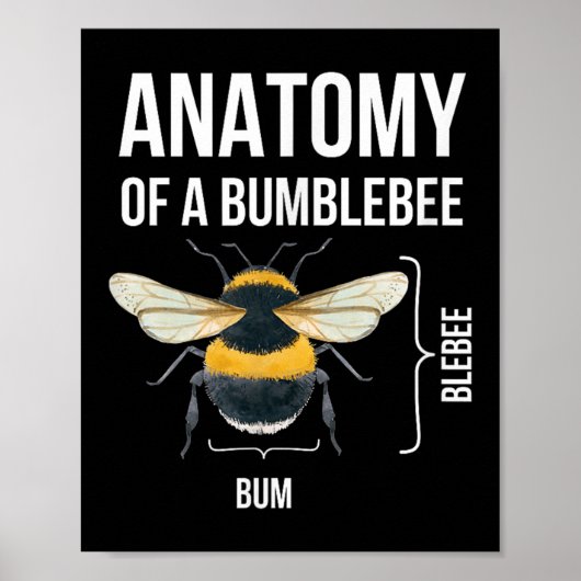 Anatomie van een hommel Grappig Sarcastisch Humor  Poster (Voorkant)