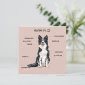 Anatomie van een hond kaart (Staand voorkant)