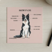 Anatomie van een hond kaart