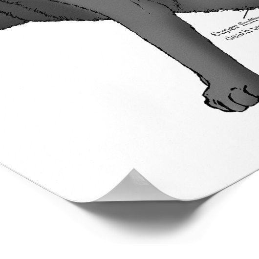 Anatomie van een kat poster (Hoek)