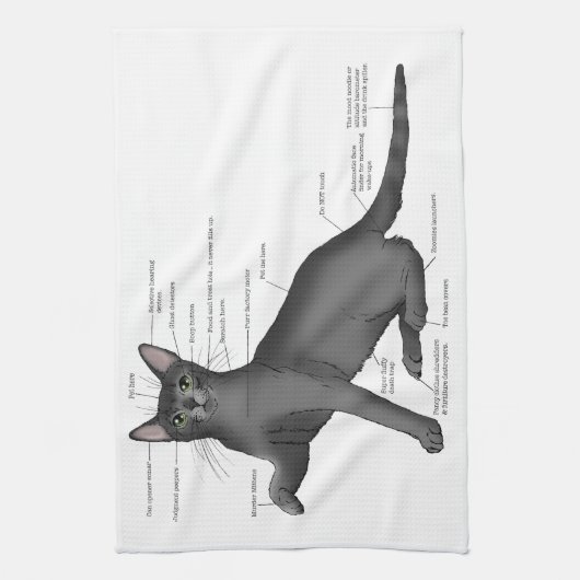 Anatomie van een kat theedoek (Verticaal)