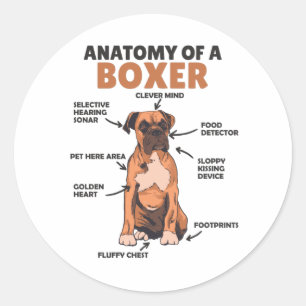 Anatomie van een knuppel met gebottende hond ronde sticker