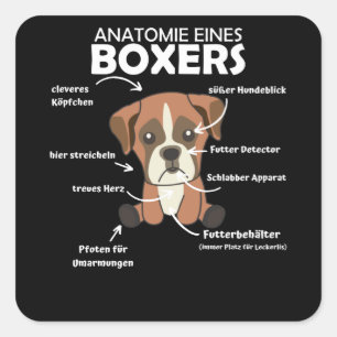 Anatomie van een knuppel met gebottende hond vierkante sticker