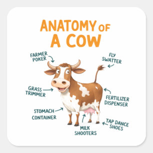 Anatomie van een koe Grappige Doktersdag Vierkante Sticker
