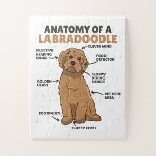 Anatomie van een labradoedle Cute Canine Puppy Legpuzzel
