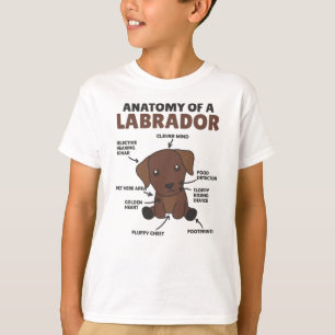 Anatomie van een labrador Retriever zoete honden T-shirt