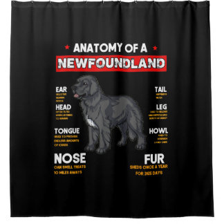 Anatomie van een Newfoundland Dogs Lovers Douchegordijn