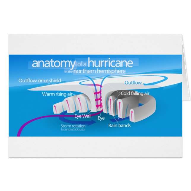 Anatomie van een orkaandiagram (Voorkant Horizontaal)