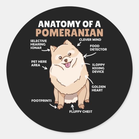 Anatomie van een pommerse koedel ronde sticker (Voorkant)