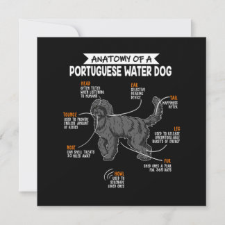 Anatomie van een Portugese Waterdog - Cadeau voor Kaart