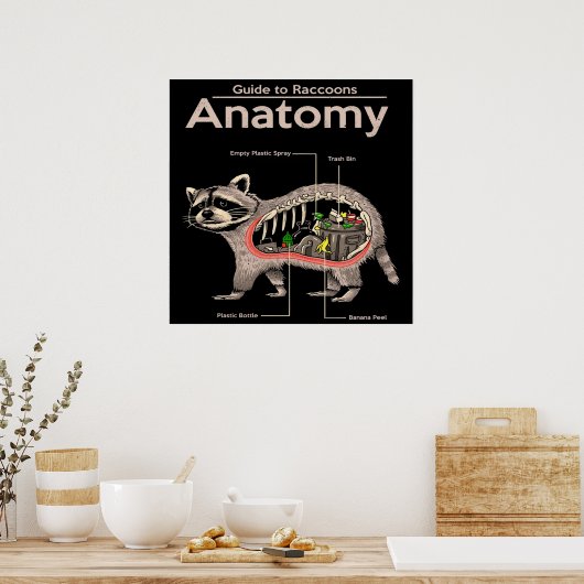 Anatomie van een Raccoon | Cute Panda Lover Poster (Keuken)