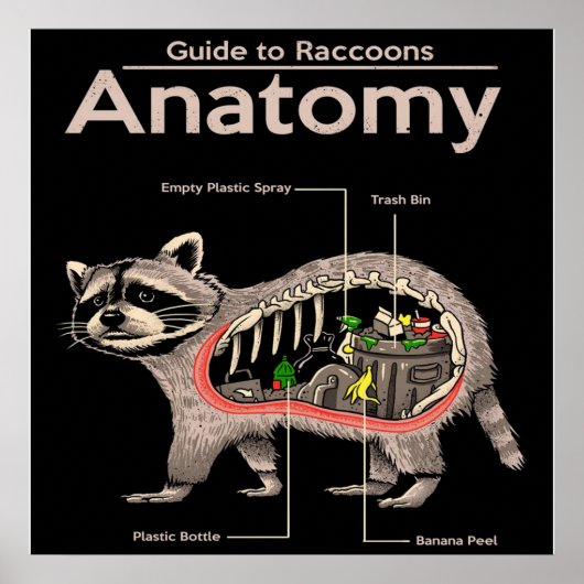 Anatomie van een Raccoon | Cute Panda Lover Poster (Voorkant)
