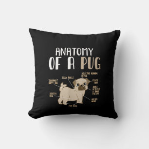 Anatomie van een ruggegraat van de hond van de kui kussen