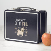 Anatomie van een ruggegraat van de hond van de rug (In situ)