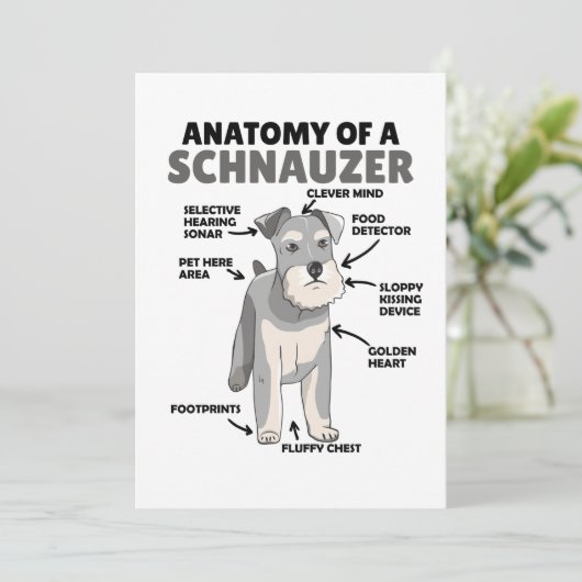 Anatomie van een Schnauzer Cute Dog Puppy Kaart (Staand voorkant)