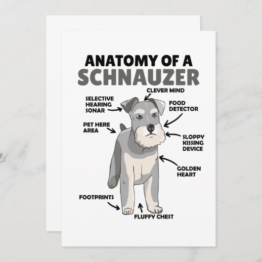 Anatomie van een Schnauzer Cute Dog Puppy Kaart (Voorkant / Achterkant)