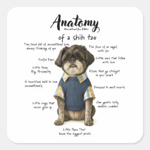 Anatomie van een Shihtzu Onvoorwaardelijke Liefde Vierkante Sticker