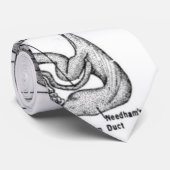 Anatomie van een Stropdas okt8pus (Opgerold)